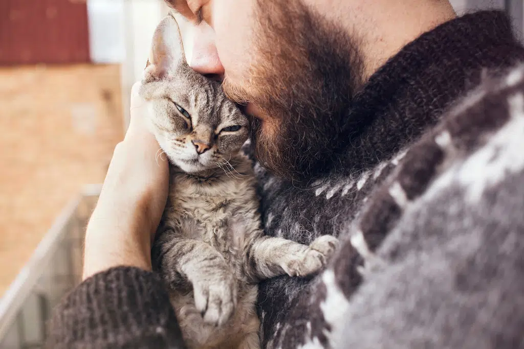 pet-therapy-1.jpg